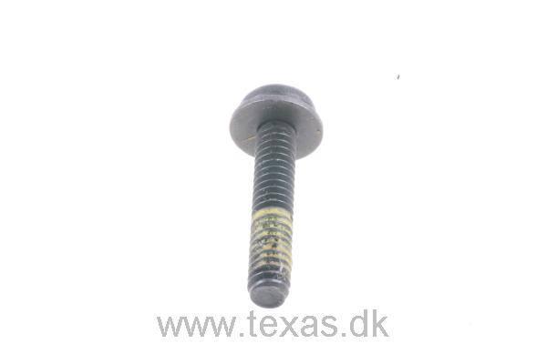 Texas Maskinskrue panhovedet med torx 4.9x27